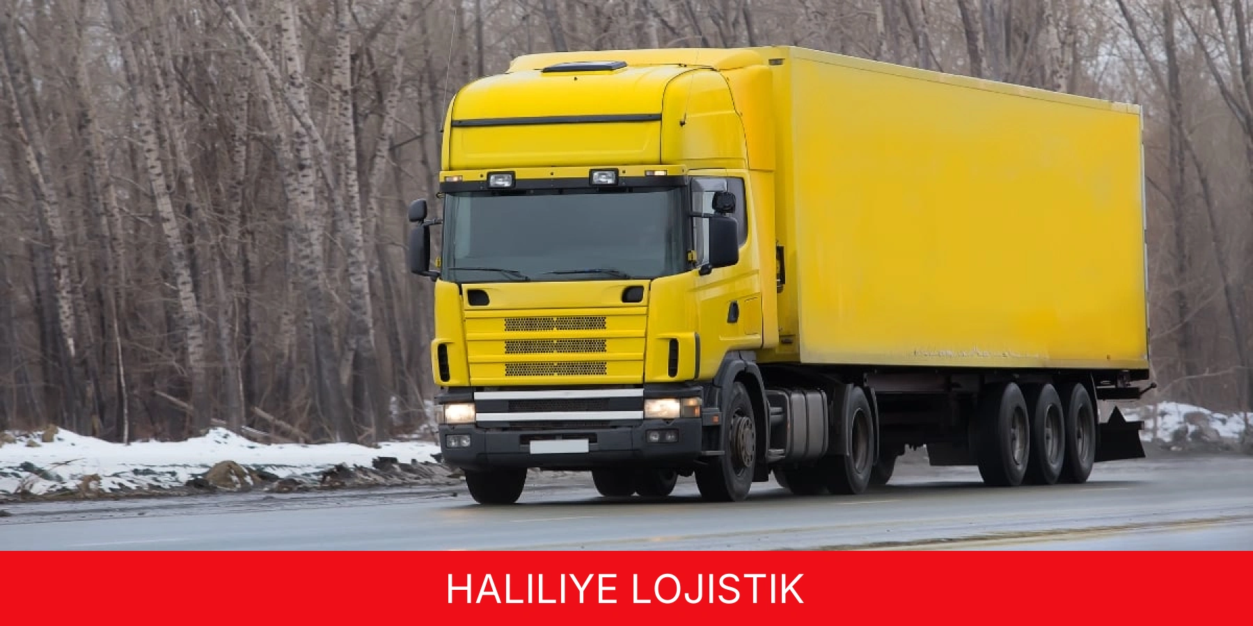 Haliliye Lojistik