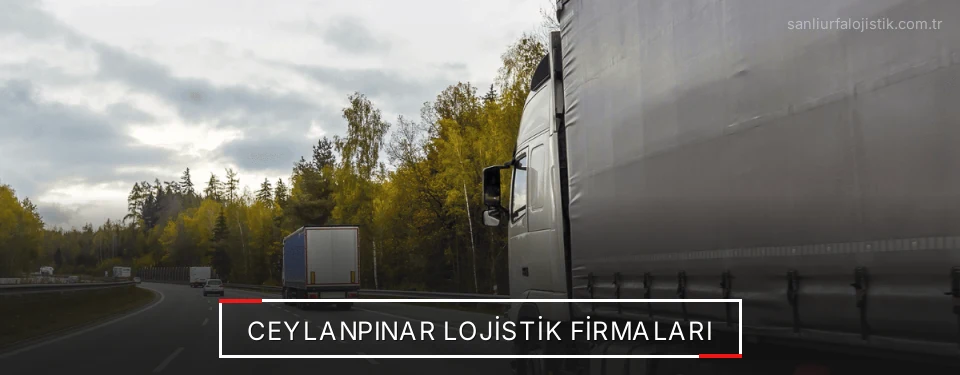 Ceylanpınar Lojistik Taşımacılık Ceylanpınar Lojistik Taşımacılık