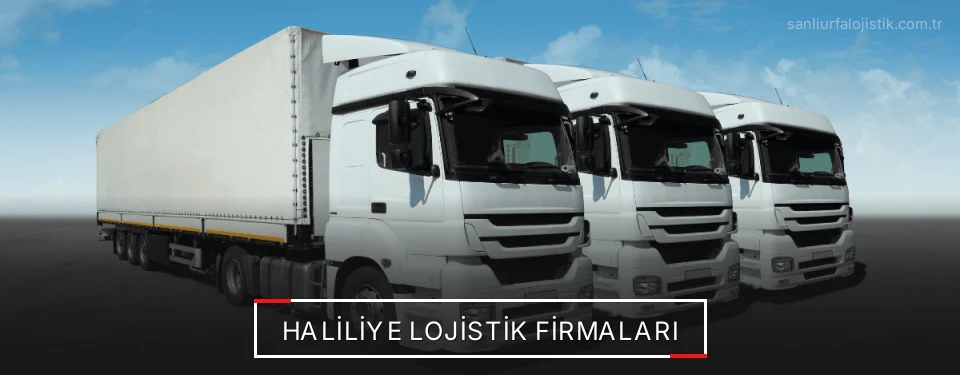 Haliliye Lojistik Taşımacılık