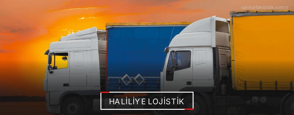 Haliliye Lojistik